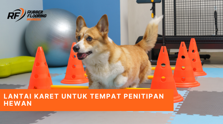 Lantai Karet untuk Tempat Penitipan Hewan